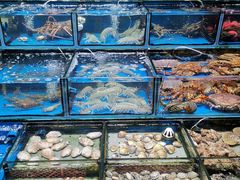 水产区-盛港湾海鲜食府(黄沙店)