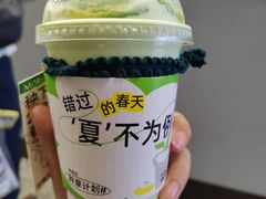 -茉酸奶(春熙路店)