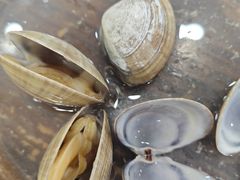 -兴隆海鲜菜馆