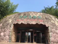 -中国西峡恐龙遗迹园