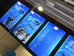-开心猫无锡三阳广场店