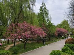 -清凉山国家森林公园