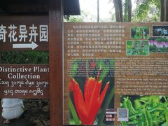 -中国科学院西双版纳热带植物园
