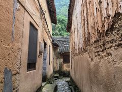 -杨家堂村