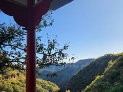 -老象峰