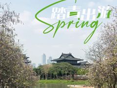 -海珠湖公园