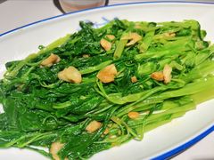 豆酱炒空心菜-码头见·潮汕菜(领展中心城店)