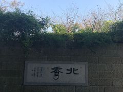 -杭州半山国家森林公园