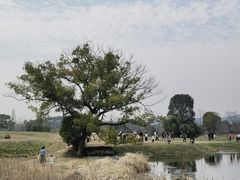 -良渚古城遗址公园