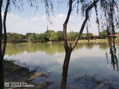 -上膳源有机农场