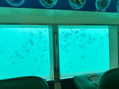 -亚龙湾海底世界