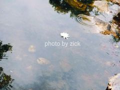 景点-承德避暑山庄景区