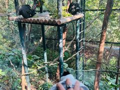 -广州长隆国际大马戏