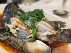 川椒海鲈鱼-富黎华海鲜大酒楼(正大广场店)