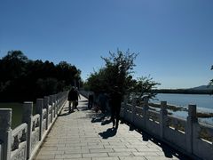 -青龙湖公园