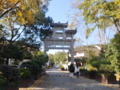 -茅家埠
