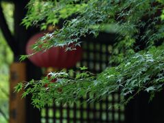 -重庆园博园