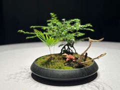 -怡情荟•海鲜青岛菜(五四广场旗舰店)