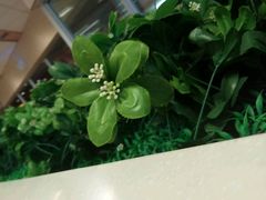 -肯德基(西安电子城店)