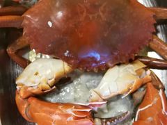 -ZF Seafood Restaurant 卓峰海鲜餐