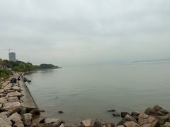 -深圳湾公园(南山区)