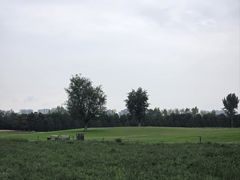 -汉长安城未央宫国家考古遗址公园