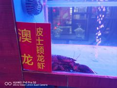 -潇湘甲鱼村(清河店)
