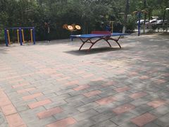 -绿堤公园