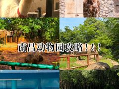 -南昌动物园