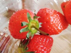 -PAGODA百果园(台柳路凯德广场店)