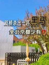 点击看大图 -CD视觉婚纱摄影
