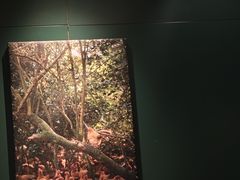 -烹然四季椰子鸡火锅(姚家园万象汇店)