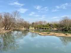 -西溪国家湿地公园