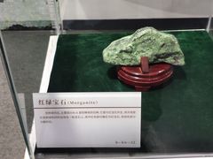 -中国第四纪冰川遗迹陈列馆
