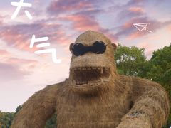 -嘉北郊野公园