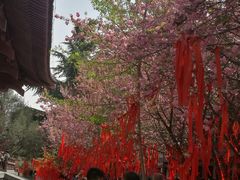 -西安青龙寺遗址景区