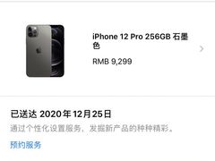 -Apple零售店(中街大悦城店)