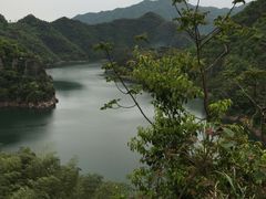 -四明山国家森林公园
