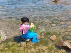 -东戴河风景区