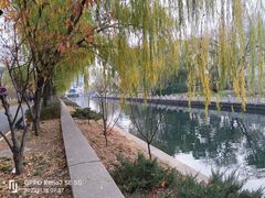 -南长河公园
