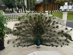 -西昌邛海宾馆