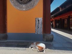 -龙华寺