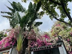 -深圳国际园林花卉博览园