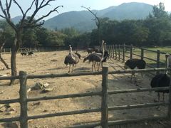 -西安秦岭野生动物园