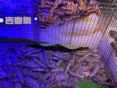 -长春高新益田福朋喜来登酒店·宜客乐标帜餐厅