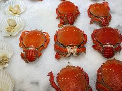 -昆山裕元花园酒店·温莎西餐厅