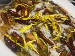 老坛子酸菜鱼-新太二·鲜料川菜(晶耀前滩店)