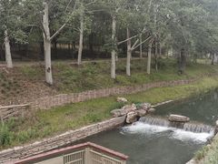 -北坞公园