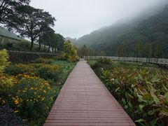 -广州市石门国家森林公园