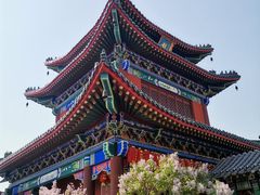 -天津市峰山药王古寺